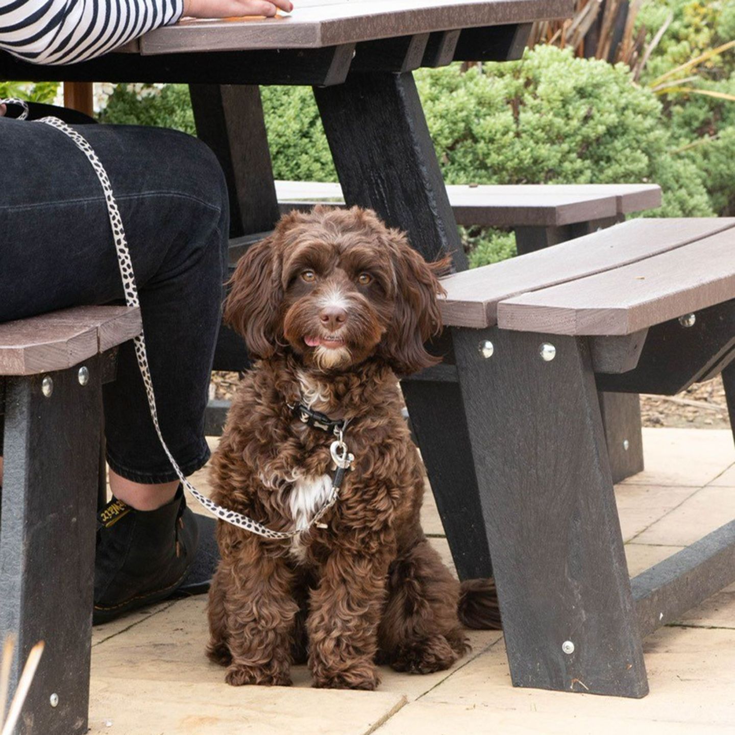 Your local dog friendly pub in Milton Keynes